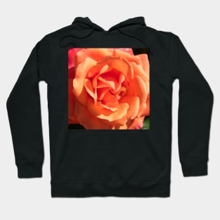 Orange Creamsicle Rose Hoodie